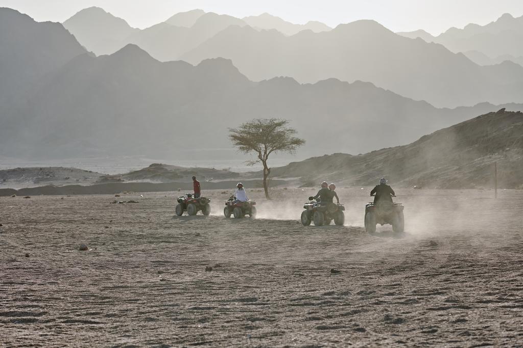 Click to open image!