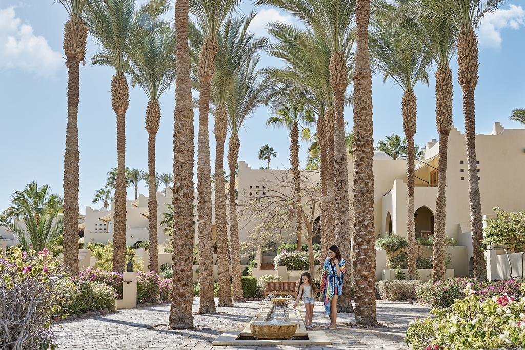 Click to open image!