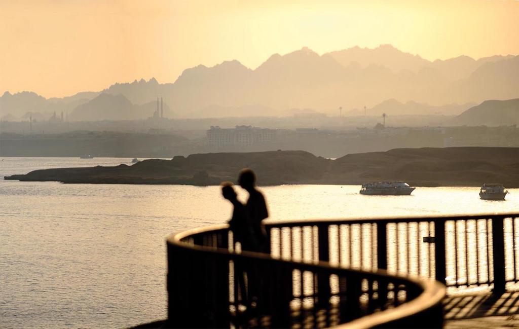 Click to open image!