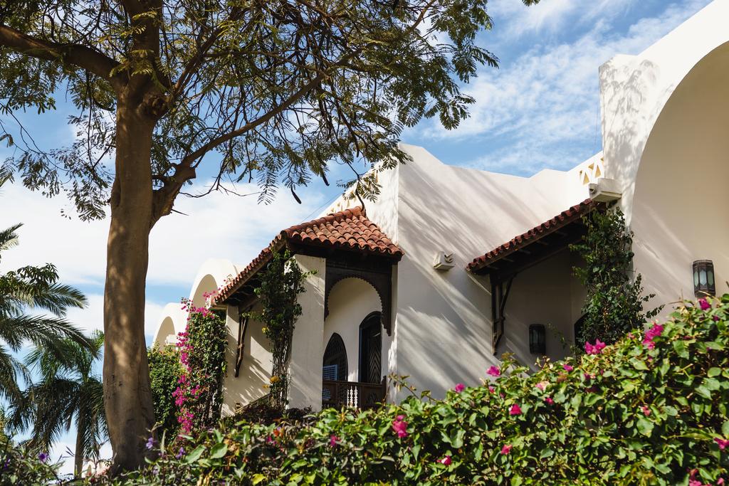 Click to open image!