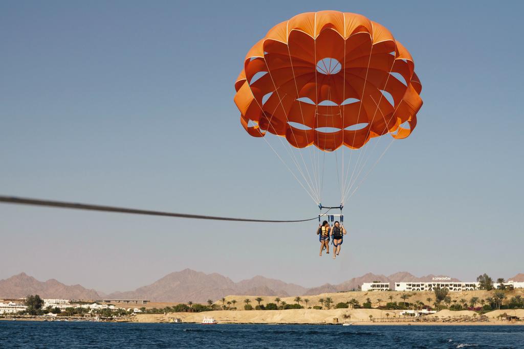 Click to open image!